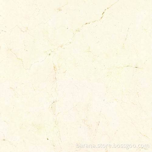 Glazed Tile (TR60013PA)